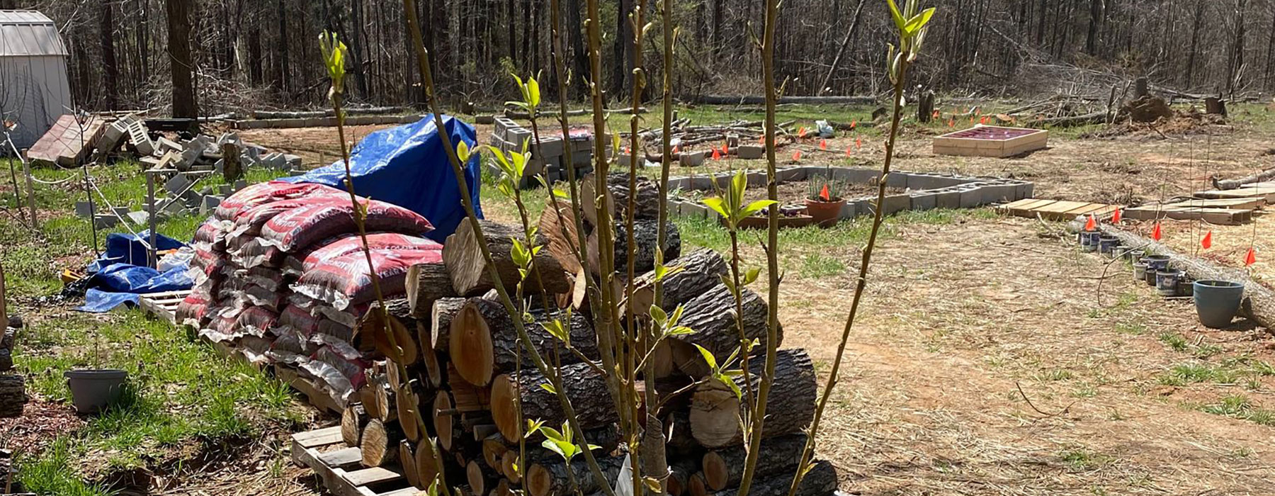Homesteading For Beginners